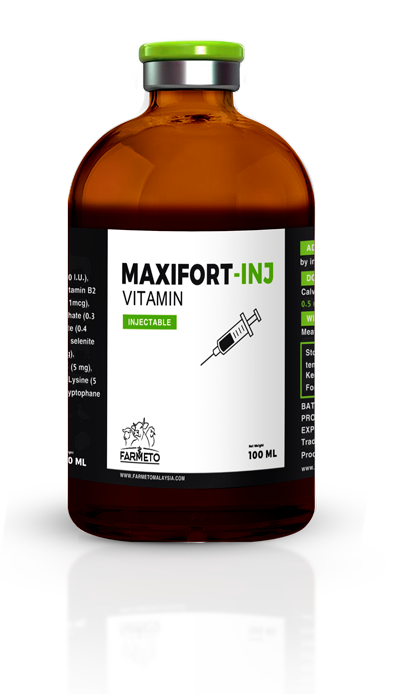 MAXIFORT-INJ
