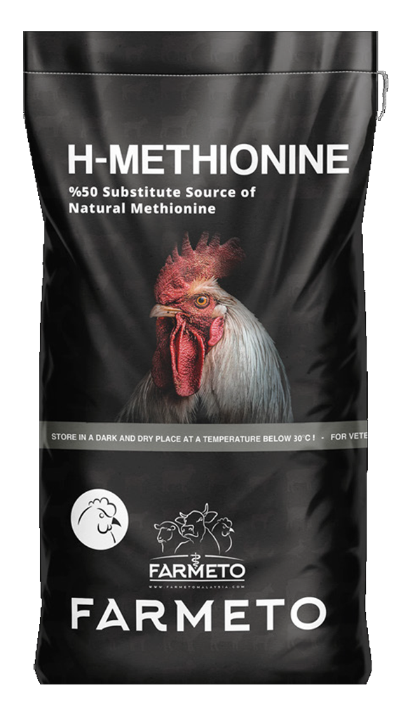 h-methionine