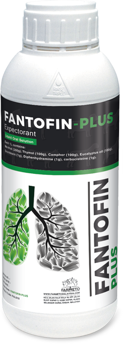 Fantofin-Plus