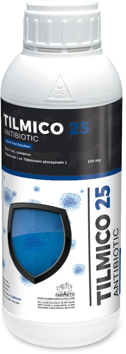 TILMICO-25